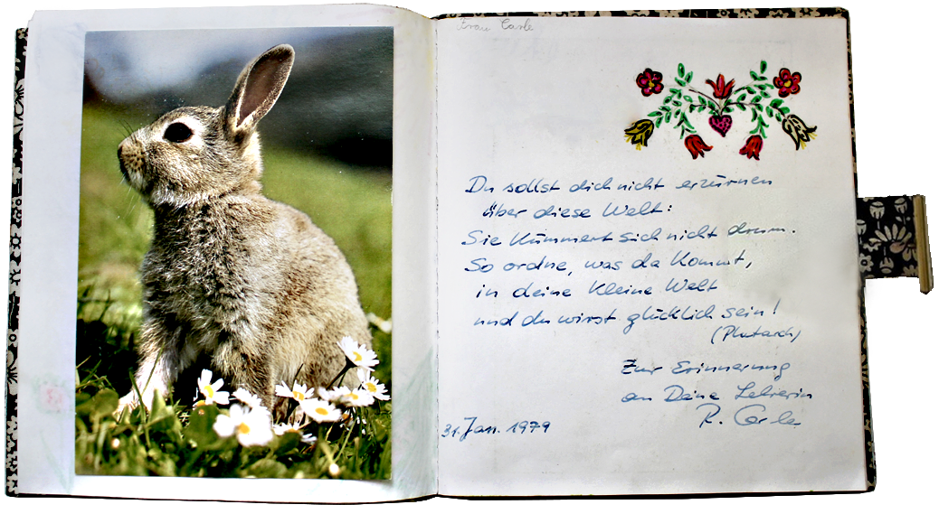 Katarina Gaub Artist Statement Poesiealbum Hase